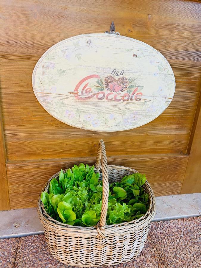 B&B Le Coccole โมลเวโน ภายนอก รูปภาพ